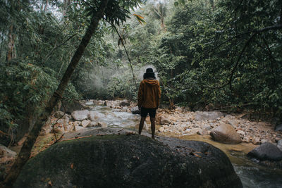 Rear view of person standing on rock in forest