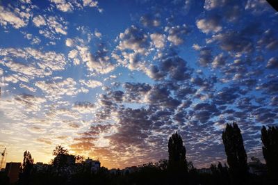 Low angle view of silhouette trees against dramatic sky