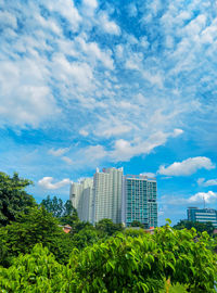 Trees and buildings against sky