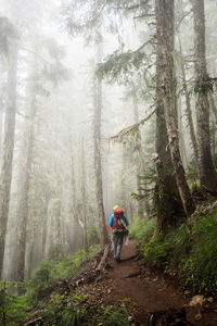 Woman hiking in forest