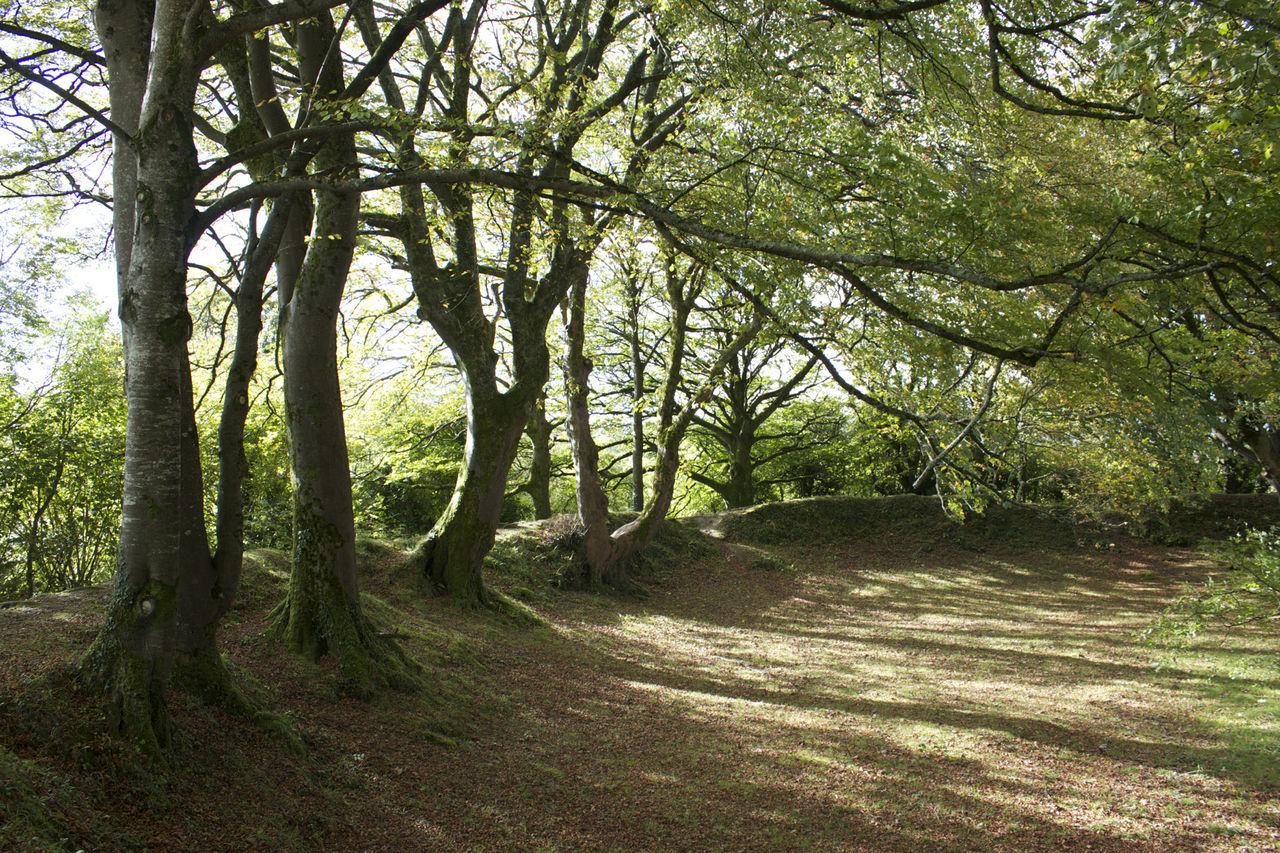 Massimiliano Rampazzo