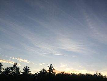 Low angle view of silhouette trees against sky at sunset