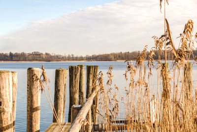 Wooden posts in lake against sky