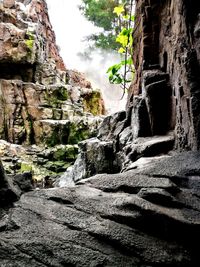 Low angle view of rock formation amidst trees