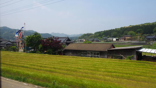 Houses and trees on field against sky