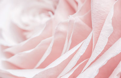 Full frame shot of crumpled paper