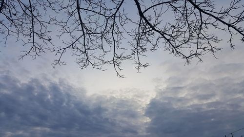 Low angle view of bare tree against sky