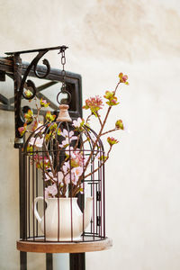 Close-up of flower pot on table against wall