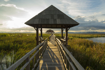 Empty boardwalk amidst grass