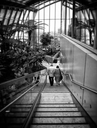 Rear view of people walking on footbridge
