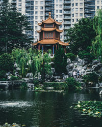 Plants by lake against buildings