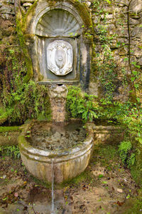 View of fountain in garden