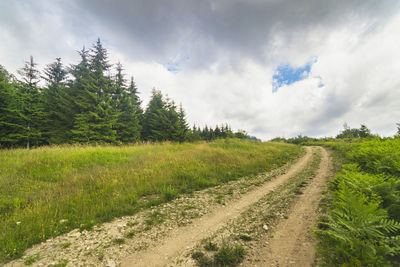 Dirt road amidst field against sky