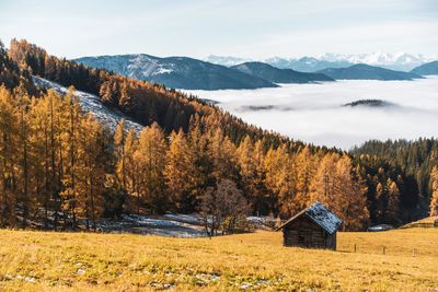 Wooden cabin in colorful autumn landscape above a sea of clouds, filzmoos, salzburg, austria.