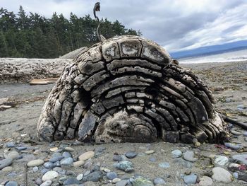 View of rocks in water