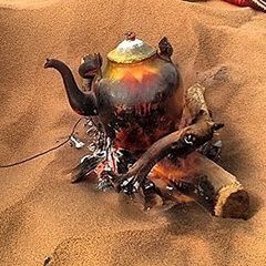 animal themes, sand, high angle view, indoors, one animal, animals in the wild, dead animal, wildlife, food, food and drink, close-up, no people, beach, crab, brown, domestic animals, day, still life, nature, zoology