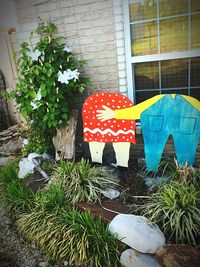 Close-up of red flowers