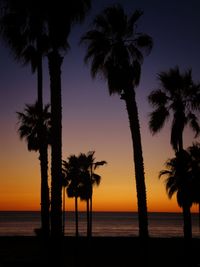 Silhouette palm trees at beach against sky during sunset