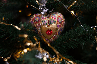 Close-up of heart shape hanging on tree