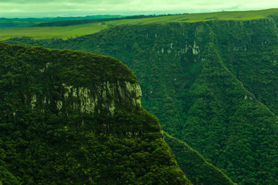 Scenic view of landscape