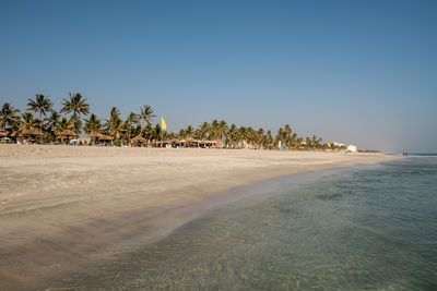 Scenic view of beach against clear sky