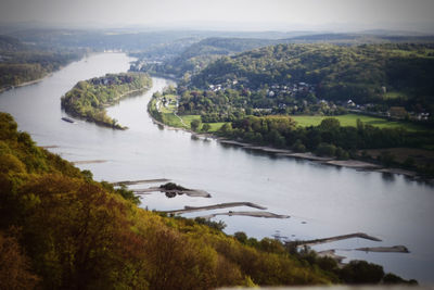 Scenic view of river by trees