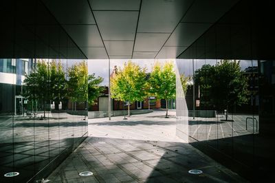 Empty road with trees in background