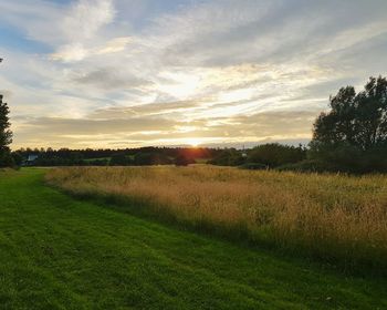 Scenic view of grassy field against sky at sunset