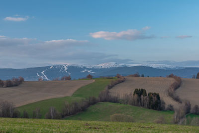 Scenic view of field against sky