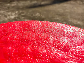 Close-up of strawberry on water