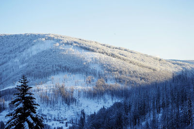 Scenic view of snowcapped mountains against clear sky