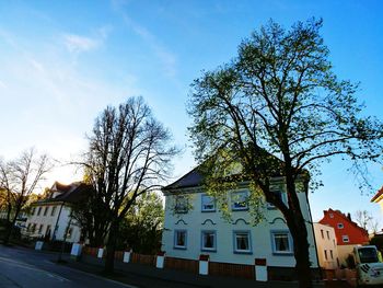 Low angle view of building and trees against sky