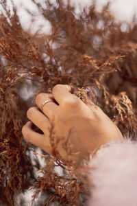 Close-up of woman hand with leaves