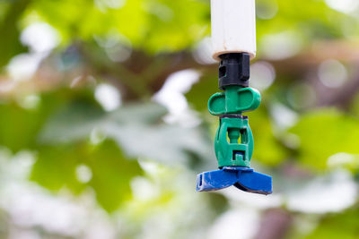 Close-up of toy hanging on clothesline