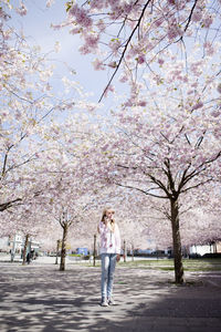 Girl talking through cell phone under blossoming cherry trees, stockholm, sweden