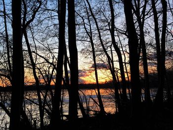 Silhouette trees by lake in forest against sky during sunset