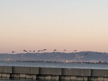 Seagulls flying over sea against sky