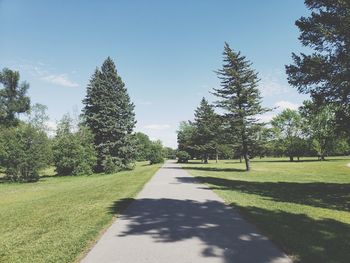 Trees in park against sky on sunny day