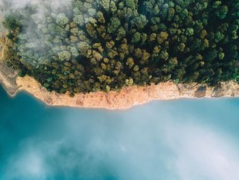 Drone view of beach during foggy weather