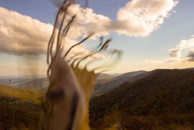 Scenic view of landscape against cloudy sky