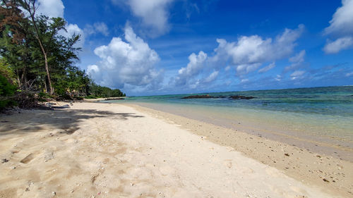 Scenic view of beach against sky
