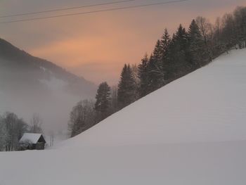 Trees on snow covered landscape against sky during sunset