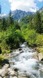 Scenic view of waterfall in forest against sky