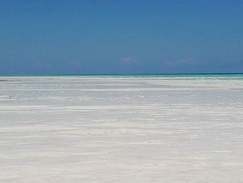 Scenic view of beach against clear blue sky