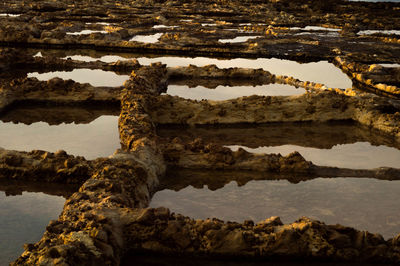 Close-up of rock by lake