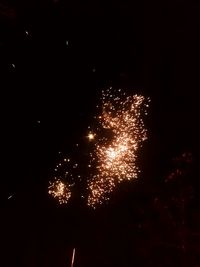 Low angle view of firework display at night