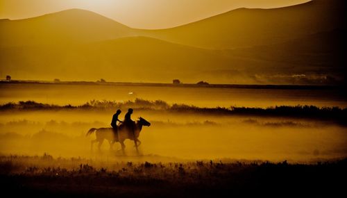 Silhouette people riding horses on field against sky during sunset