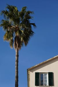 Low angle view of palm tree against clear blue sky