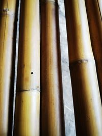 Close-up of pipes
