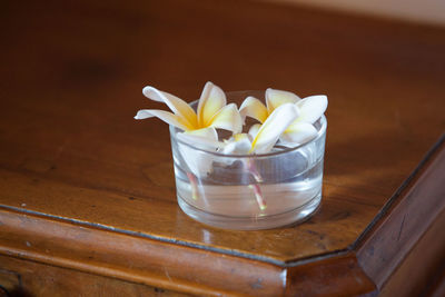 Close-up of flower in container